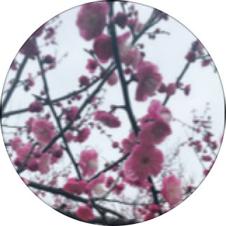顺其自然