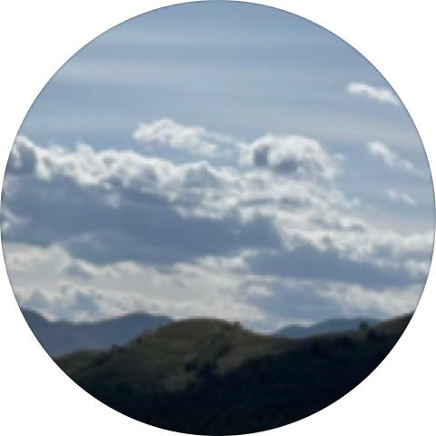 是姐姐也是牛哥