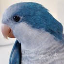 姐姐，弟弟想你啊！