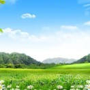 影子