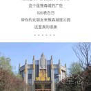 爱相随