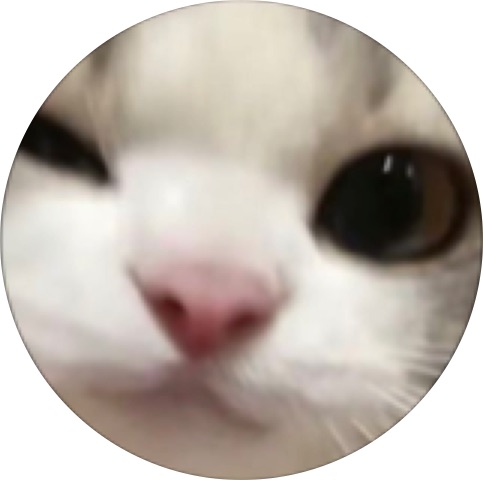 想你的479天