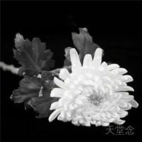 扫墓时间的选择与传统习俗