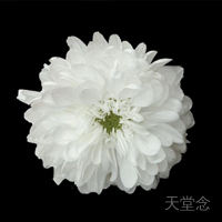 清明云祭祀 让思念没有距离