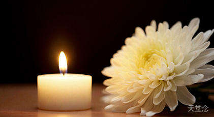 天堂念里,藏着我的小月光