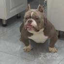 💐🎊ᥬ🌺ZMG🌺᭄🎊💐