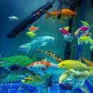 ༺ཌༀཉི叁༃ༀད༻