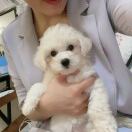 你们等待过死亡吗？